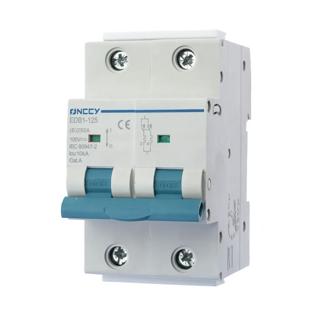 2P 100V 250A 10kV DC Mini Circuit Breaker MCB